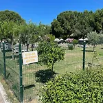 Denize 5 Dk Yuerueme Mesafesinde Kus-ar Sitesi
